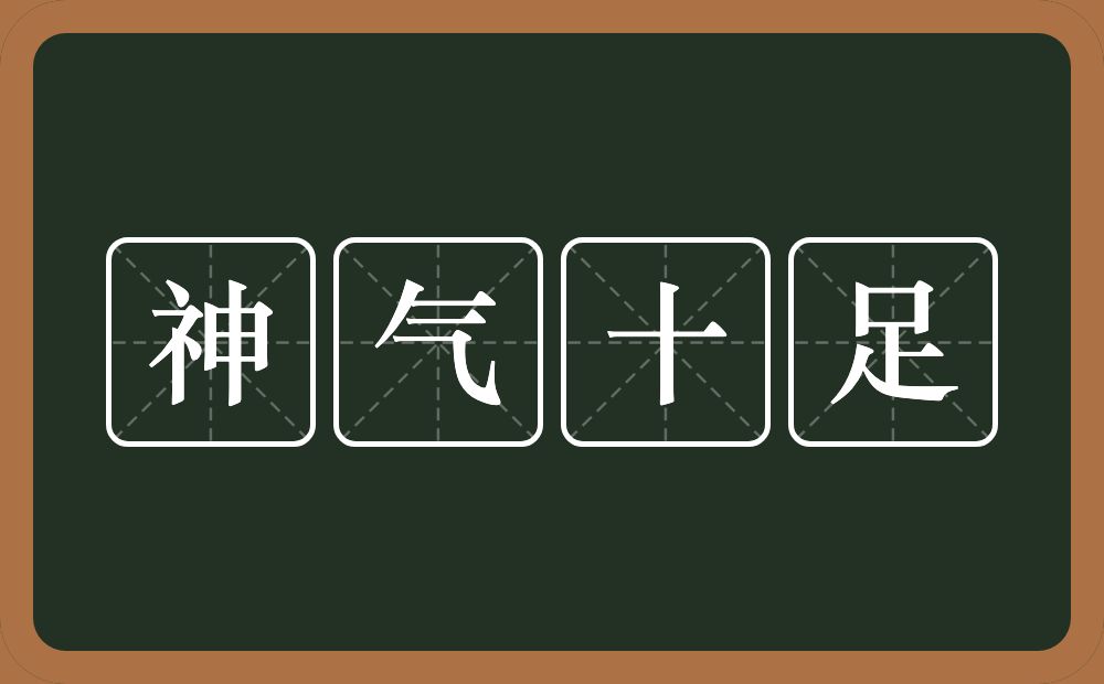 神气十足的意思神气十足是什么意思