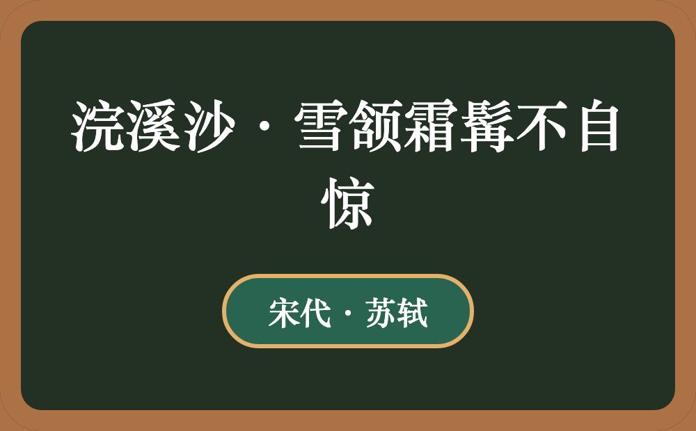 浣溪沙·雪颔霜髯不自惊