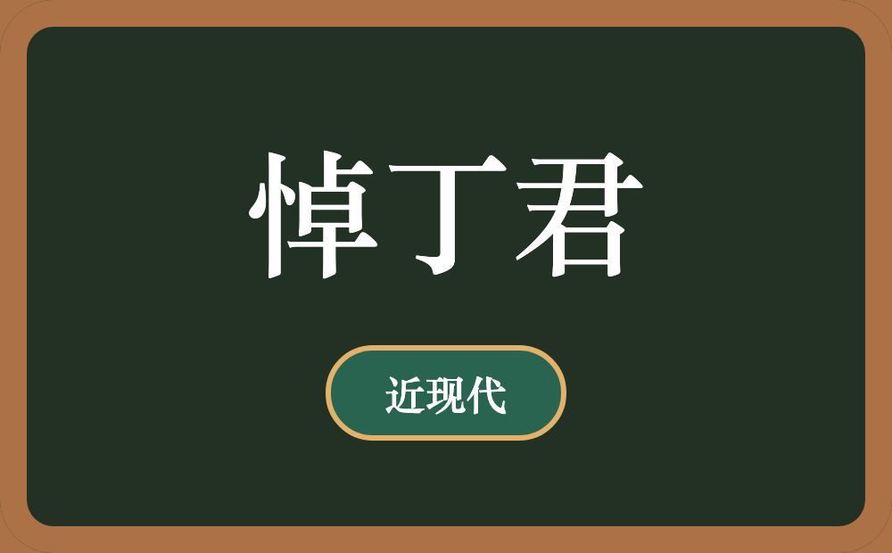 悼丁君