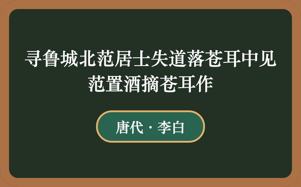 寻鲁城北范居士失道落苍耳中见范置酒摘苍耳作