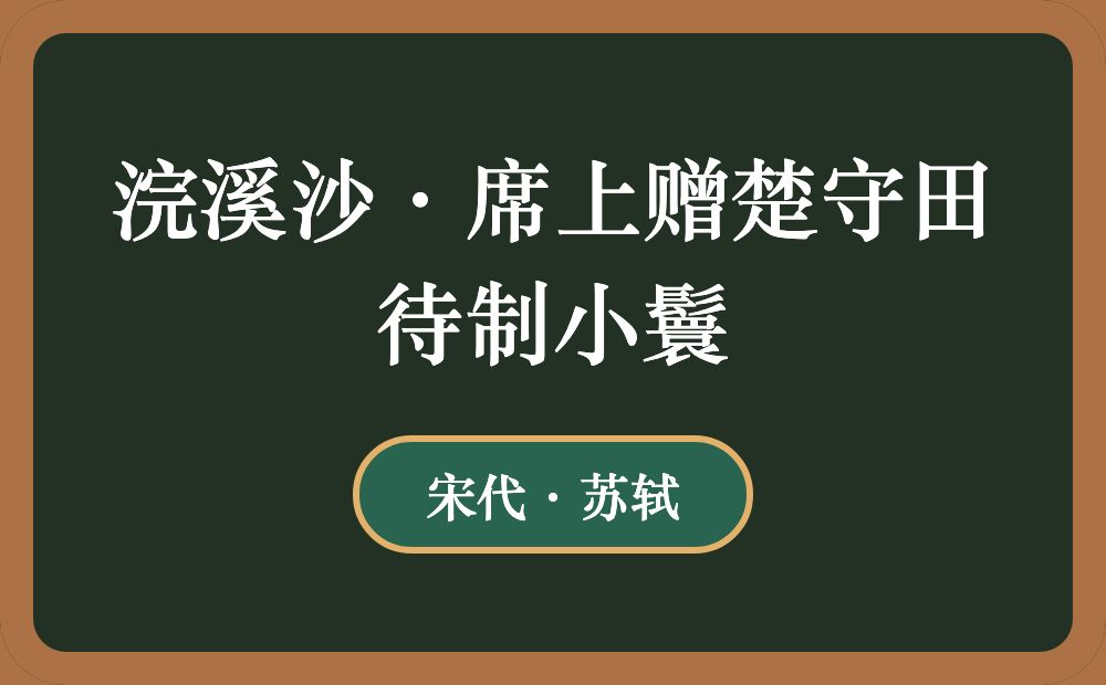 浣溪沙·席上赠楚守田待制小鬟