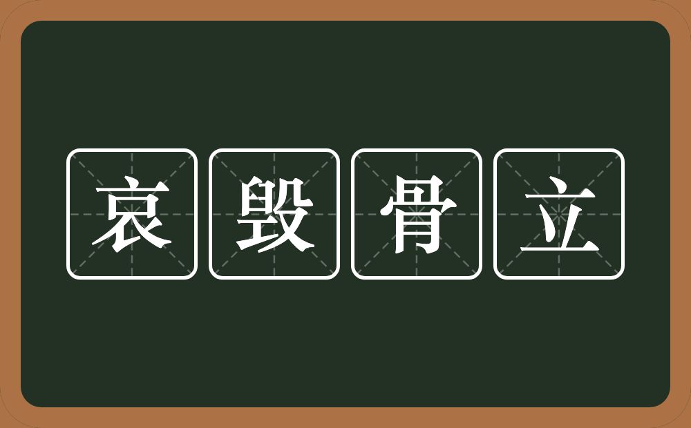 哀毁骨立的意思？哀毁骨立是什么意思？