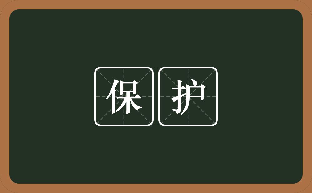 保护的意思？保护是什么意思？