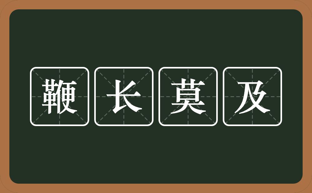 鞭长莫及的意思？鞭长莫及是什么意思？