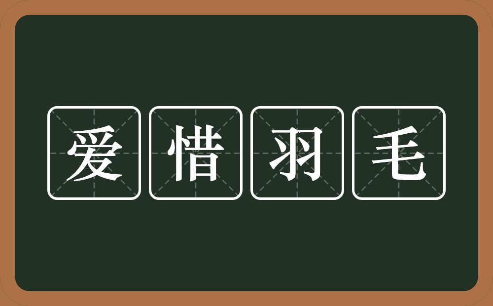 爱惜羽毛的意思？爱惜羽毛是什么意思？