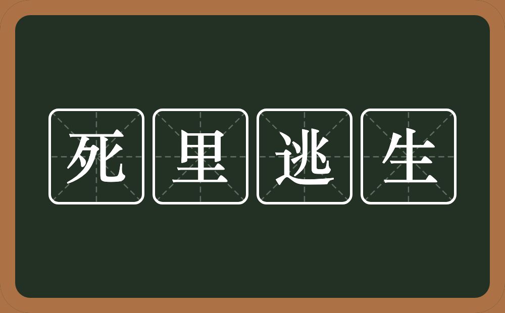 死里逃生的意思？死里逃生是什么意思？