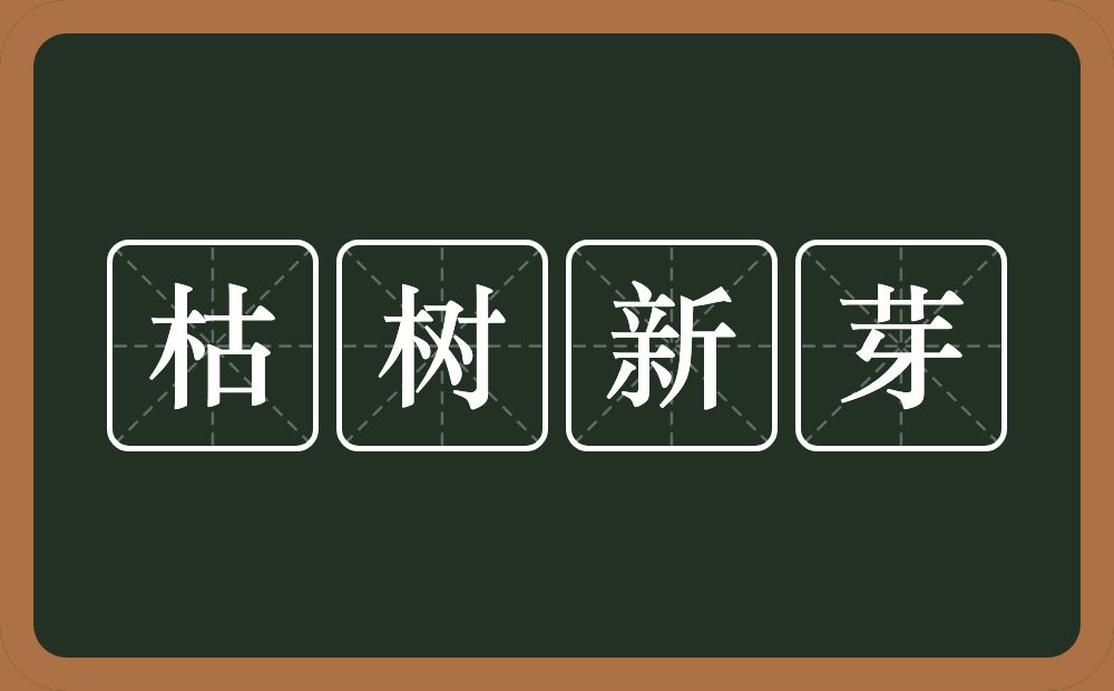 枯树新芽的意思？枯树新芽是什么意思？