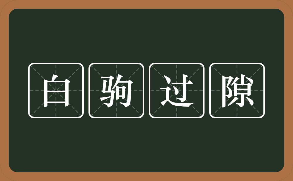 白驹过隙的意思？白驹过隙是什么意思？