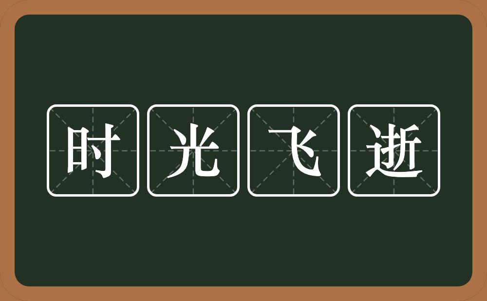 时光飞逝的意思？时光飞逝是什么意思？