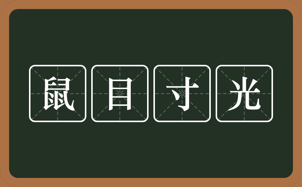 鼠目寸光的意思？鼠目寸光是什么意思？