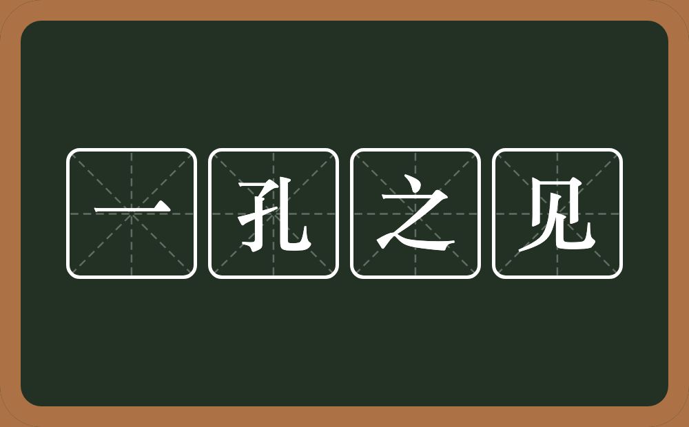 一孔之见的意思？一孔之见是什么意思？