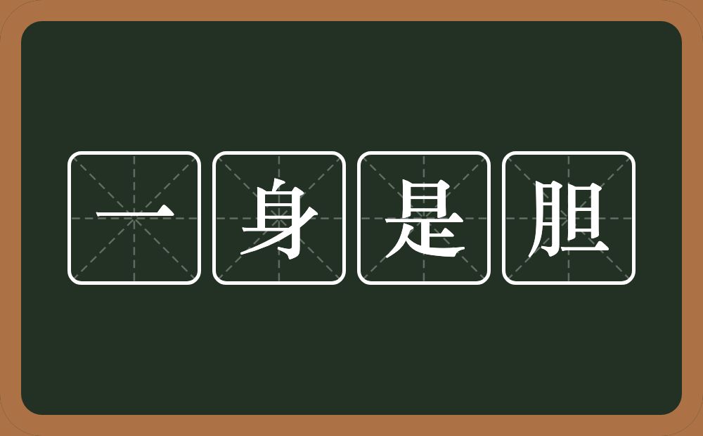 一身是胆的意思？一身是胆是什么意思？