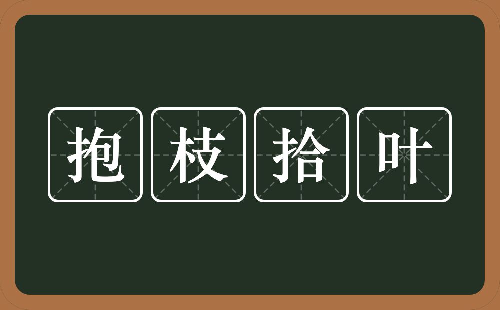 抱枝拾叶的意思？抱枝拾叶是什么意思？