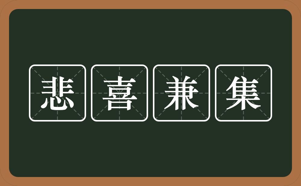 悲喜兼集的意思？悲喜兼集是什么意思？