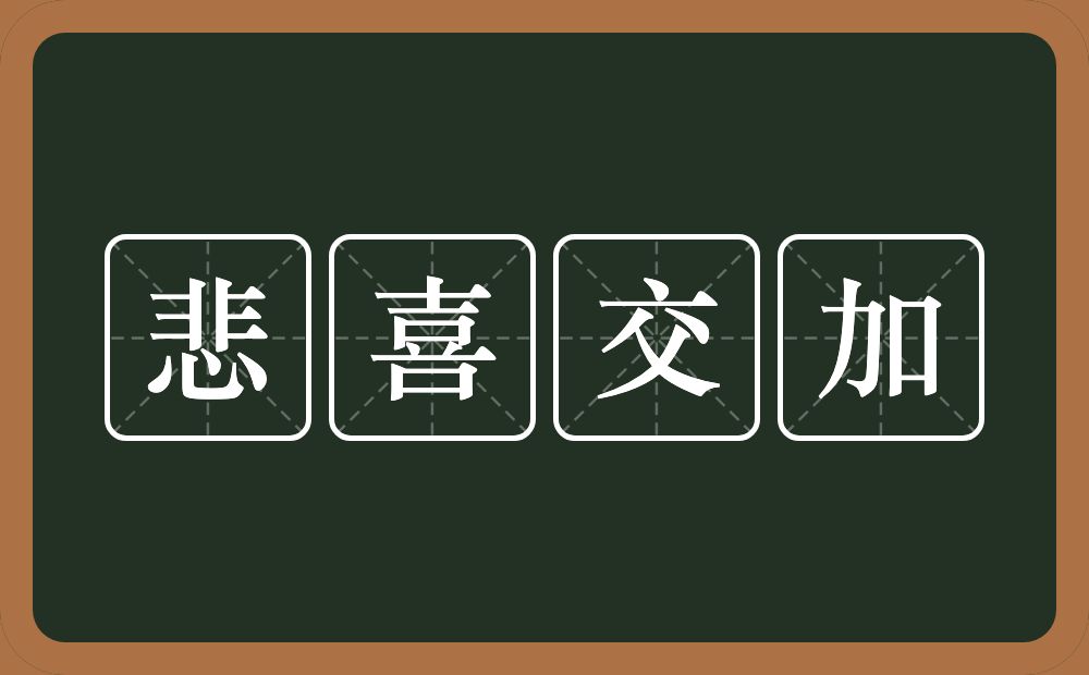 悲喜交加的意思？悲喜交加是什么意思？