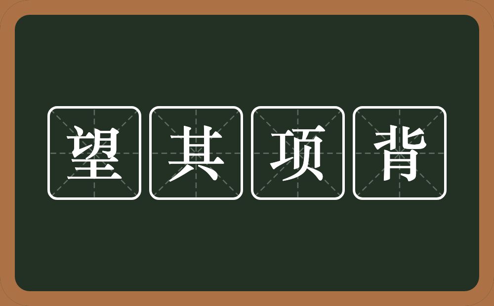 望其项背的意思？望其项背是什么意思？