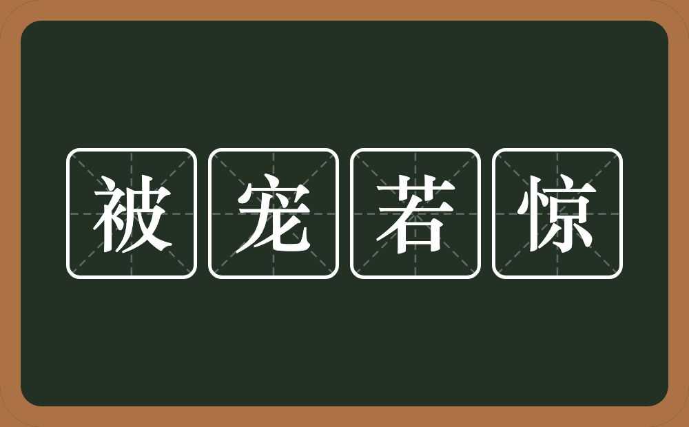 被宠若惊的意思？被宠若惊是什么意思？