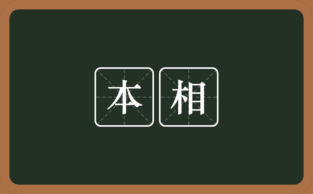 本相的意思？本相是什么意思？