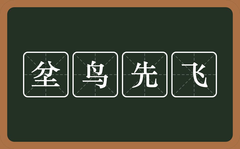 坌鸟先飞的意思？坌鸟先飞是什么意思？