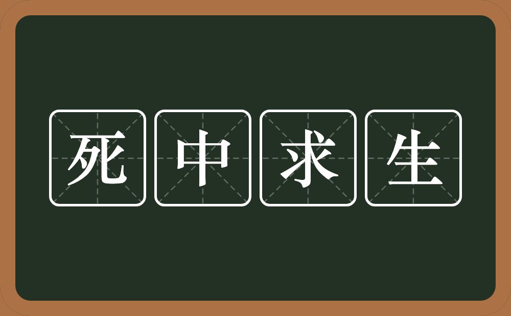 死中求生的意思？死中求生是什么意思？