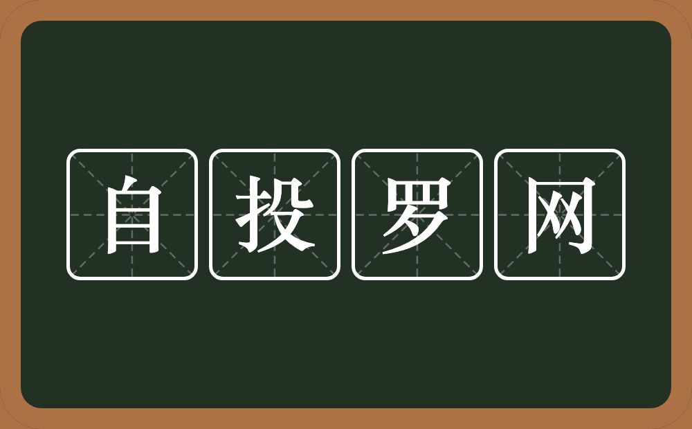 自投罗网的意思？自投罗网是什么意思？