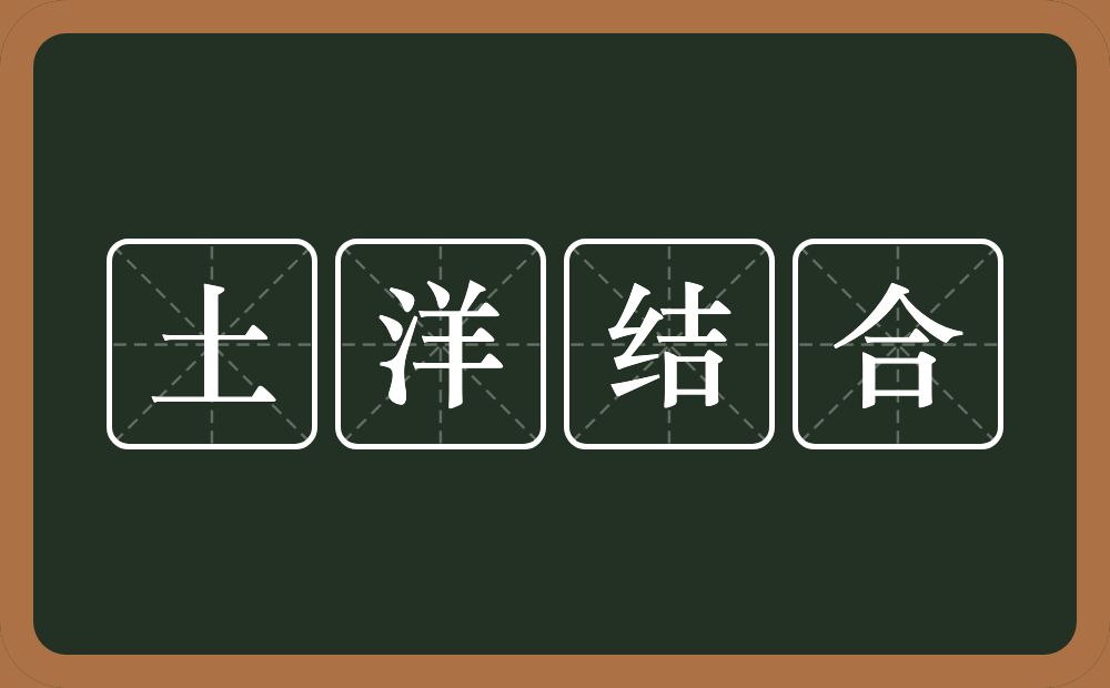 土洋结合的意思？土洋结合是什么意思？