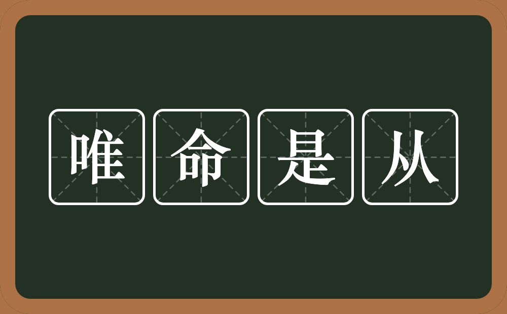 唯命是从的意思？唯命是从是什么意思？