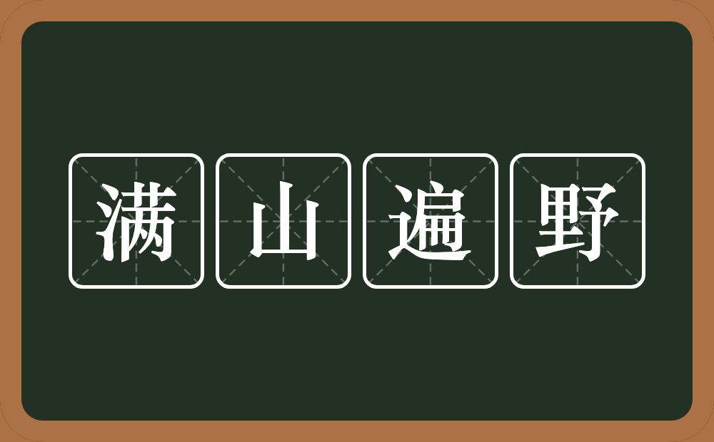 满山遍野的意思？满山遍野是什么意思？