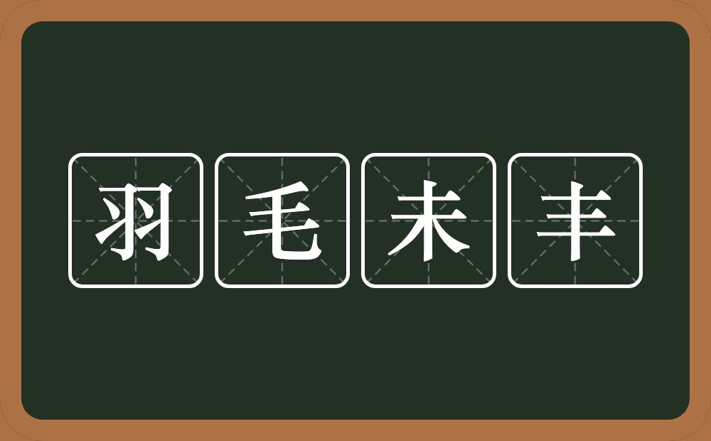 羽毛未丰的意思？羽毛未丰是什么意思？