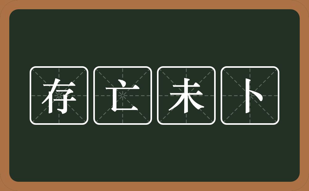 存亡未卜的意思？存亡未卜是什么意思？