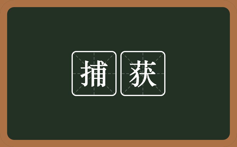 捕获的意思？捕获是什么意思？