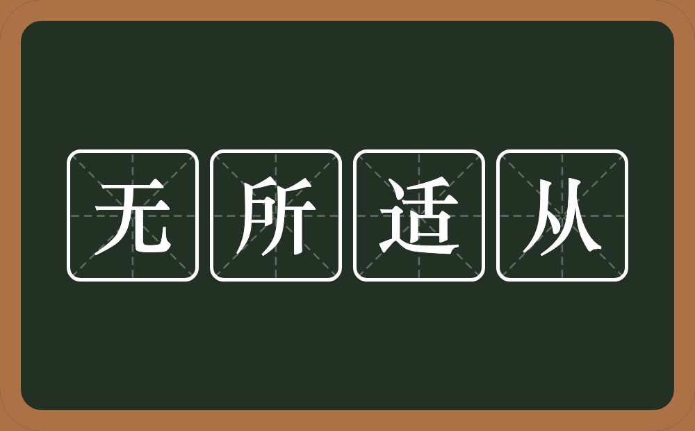 无所适从的意思？无所适从是什么意思？