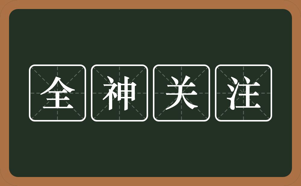 全神关注的意思？全神关注是什么意思？