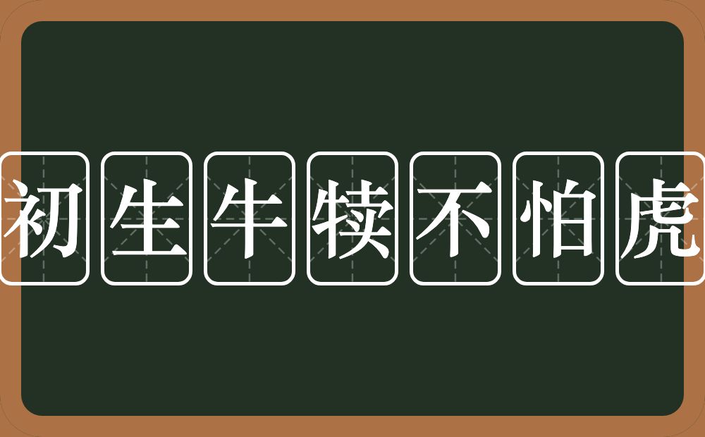 初生牛犊不怕虎的意思？初生牛犊不怕虎是什么意思？