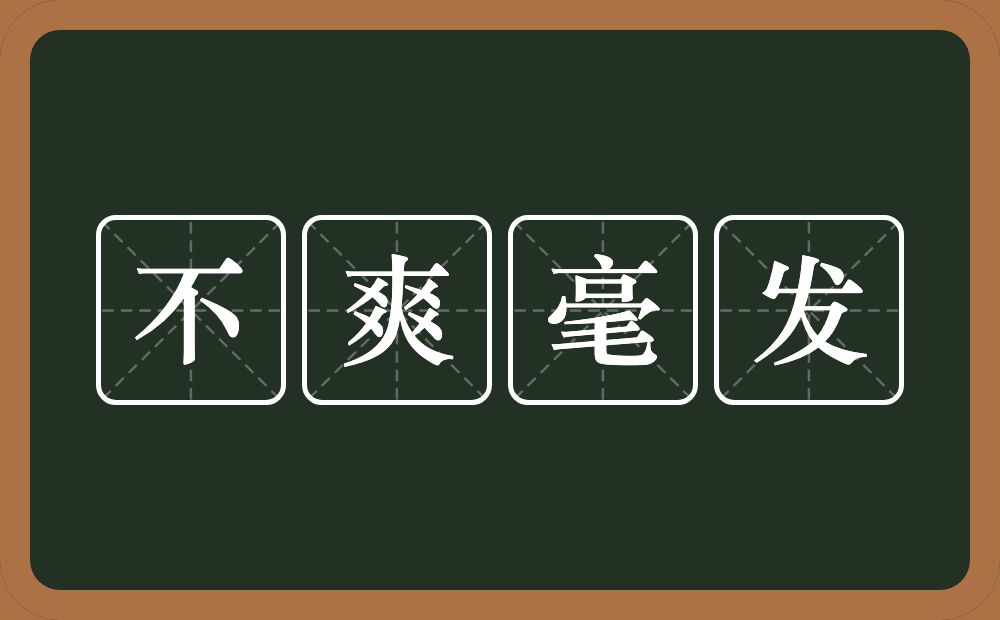 不爽毫发的意思？不爽毫发是什么意思？