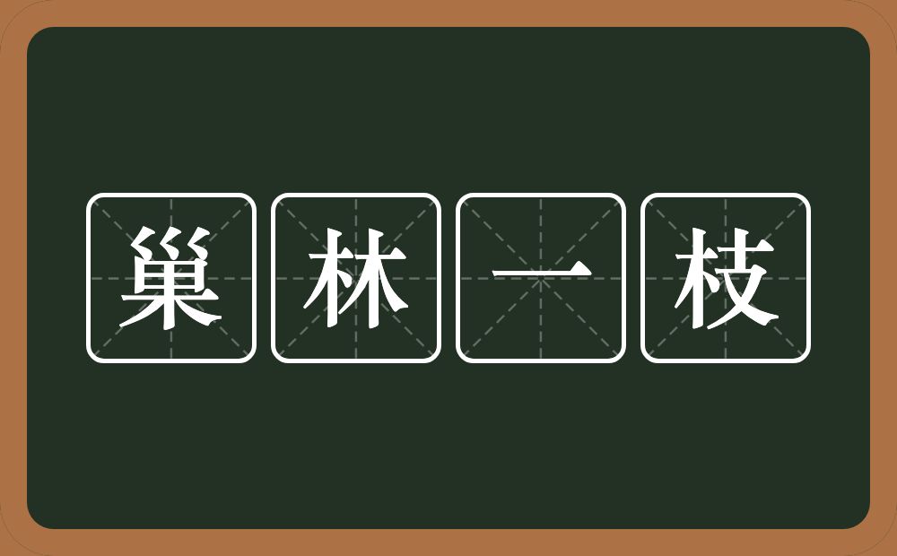 巢林一枝的意思？巢林一枝是什么意思？