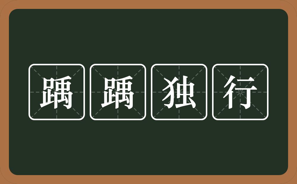 踽踽独行的意思？踽踽独行是什么意思？