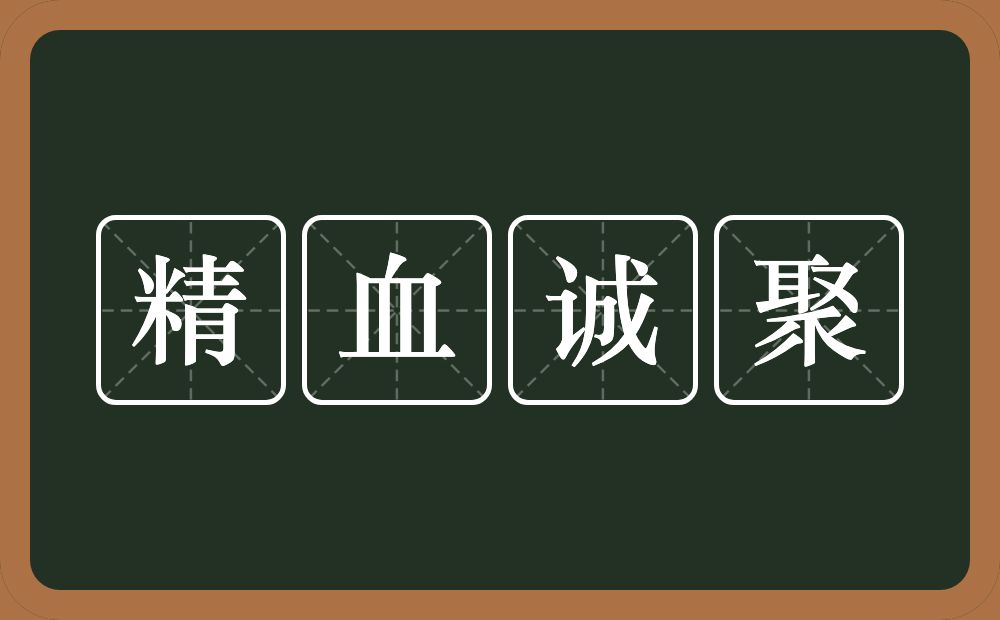 精血诚聚的意思？精血诚聚是什么意思？