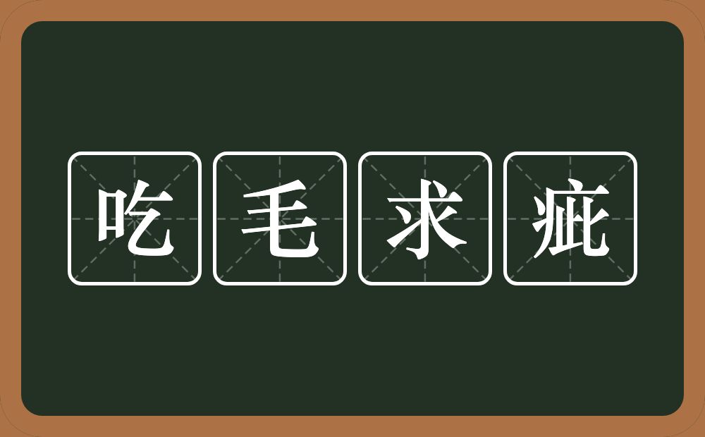 吃毛求疵的意思？吃毛求疵是什么意思？