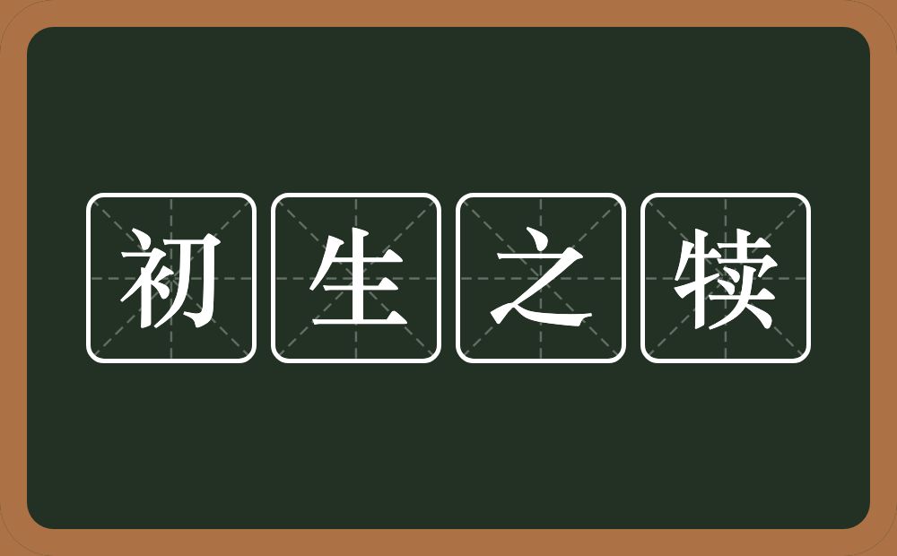 初生之犊的意思？初生之犊是什么意思？