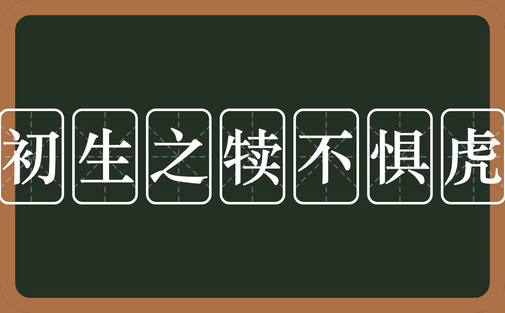 初生之犊不惧虎的意思？初生之犊不惧虎是什么意思？