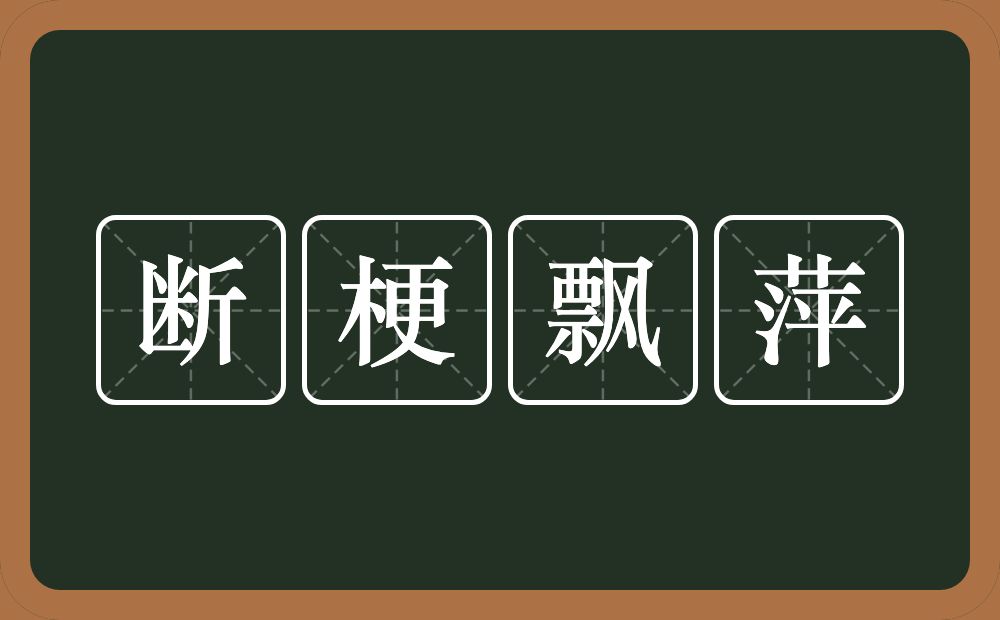 断梗飘萍的意思？断梗飘萍是什么意思？