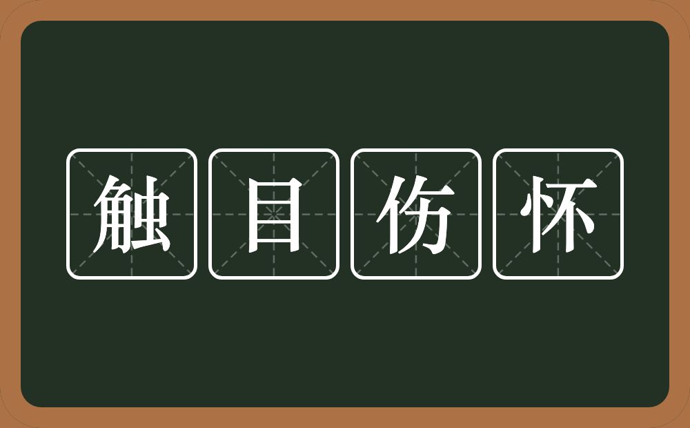 触目伤怀的意思？触目伤怀是什么意思？