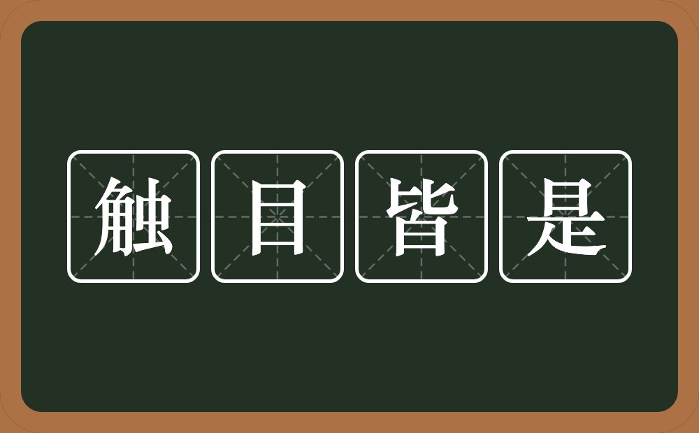 触目皆是的意思？触目皆是是什么意思？