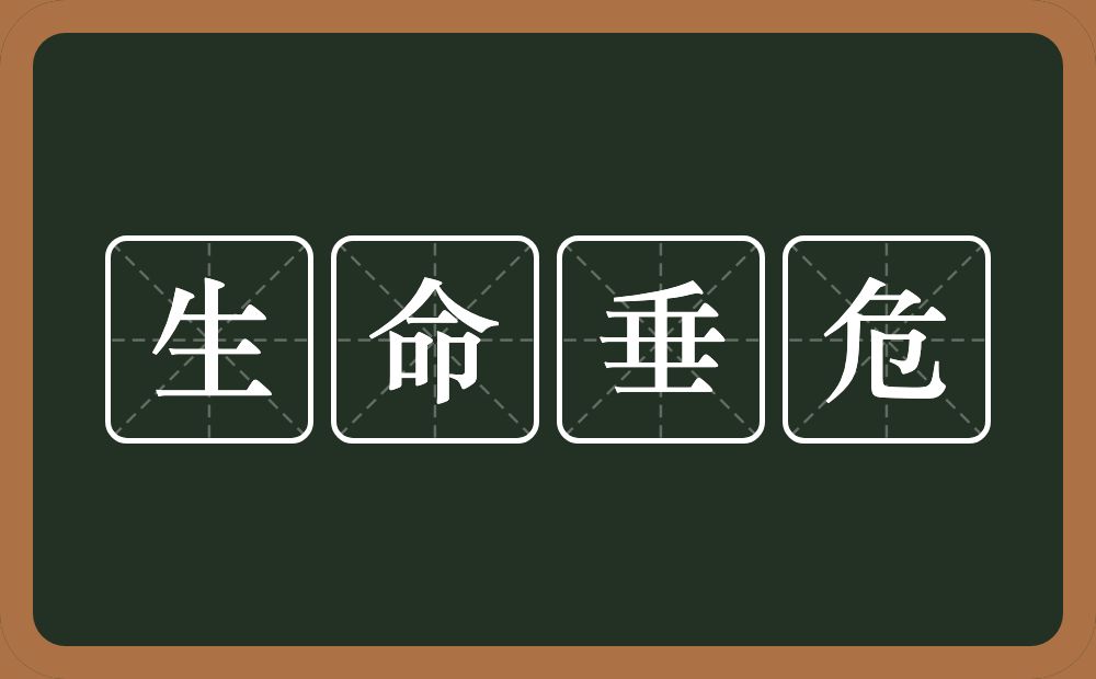 生命垂危的意思？生命垂危是什么意思？