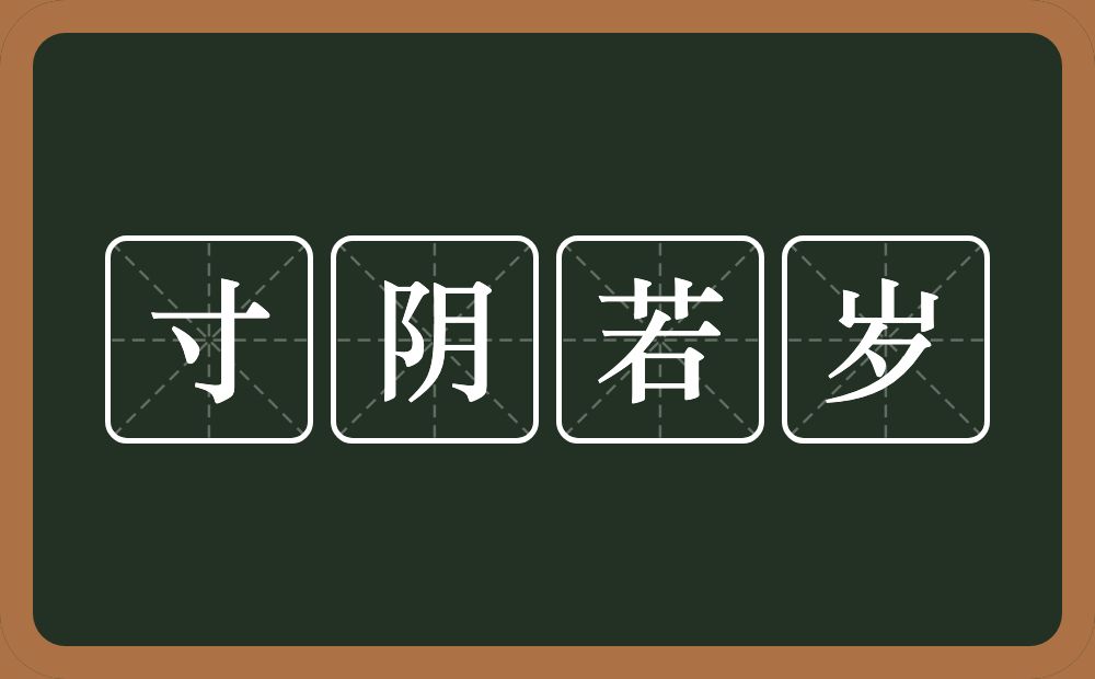 寸阴若岁的意思？寸阴若岁是什么意思？