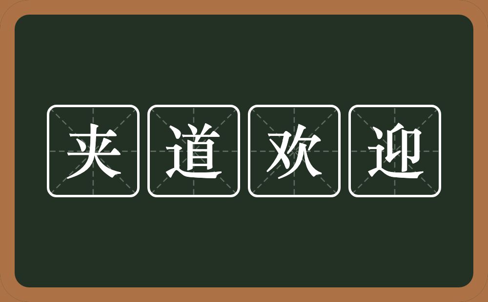 夹道欢迎的意思？夹道欢迎是什么意思？