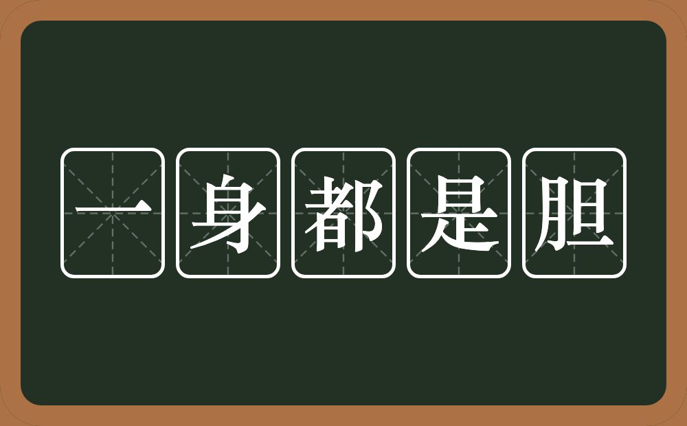 一身都是胆的意思？一身都是胆是什么意思？