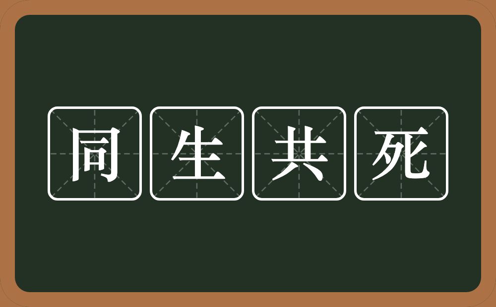 同生共死的意思？同生共死是什么意思？