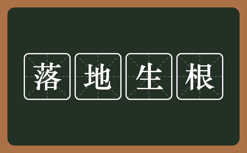 落地生根的意思？落地生根是什么意思？